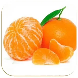 خرید و فروش کنسانتره نارنج جنگلی + فروش عمده